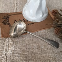 spoon / アンティーク離乳食スプーン