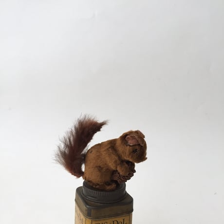 stuff squirrel / アンティークリスのぬいぐるみ