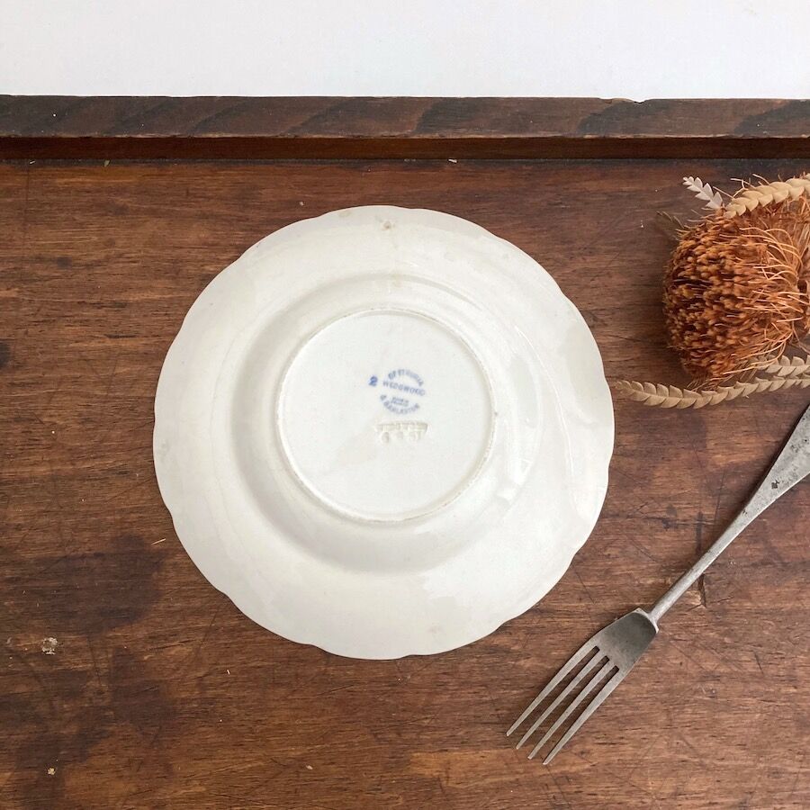 wedgwood plate ウェッジウッド フラワーレリーフ ミモザ エンボス | cocon