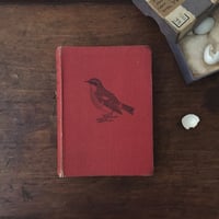 old book / A BIRD BOOK FOR THE POCKET