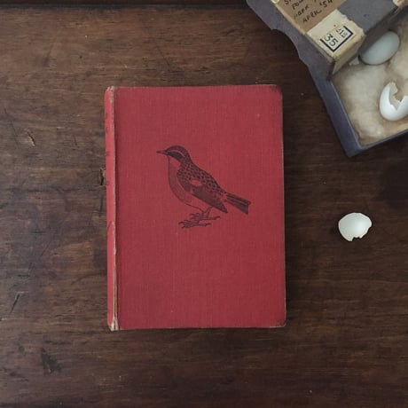 old book / A BIRD BOOK FOR THE POCKET