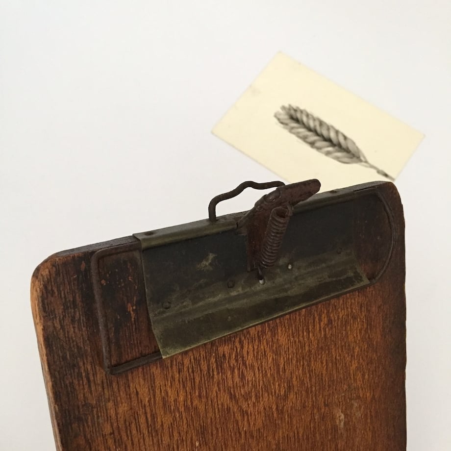 69df4b6e7beeeb52ed474ef7