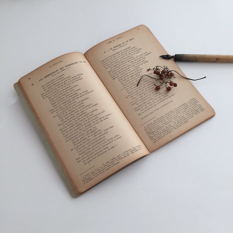old book / フランス古書 MISANTHROPE FABLES CHOISIES | old book / フランス古書 MISANTHROPE FABLES CHOISIES |