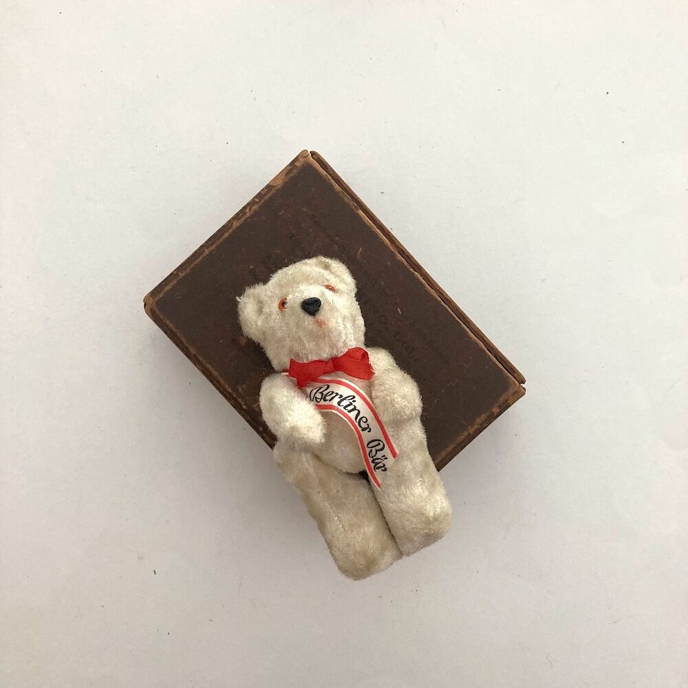 berlin bear | cocon