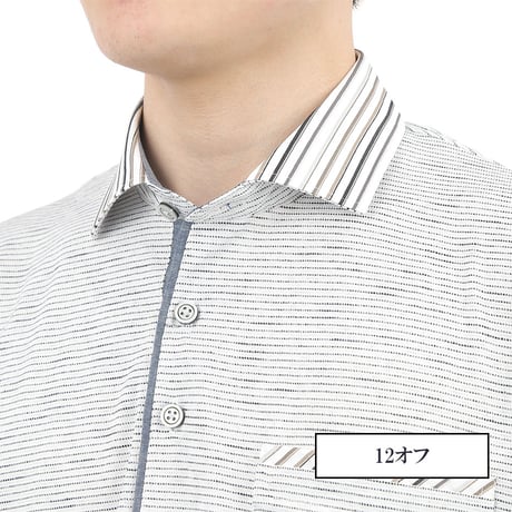 【再値下げ】【日本製】シルケット加工 半袖シャツ メンズ 吸水速乾 涼しい 上品な光沢 全4色 S-2L 大人カジュアル ビジネスにも