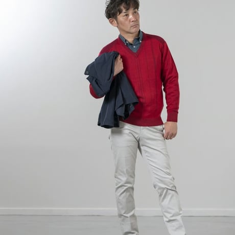 〇【洗濯OK／ウーステッドウール】　12ゲージ　針抜きプレーティング　Vネックセーター　3色