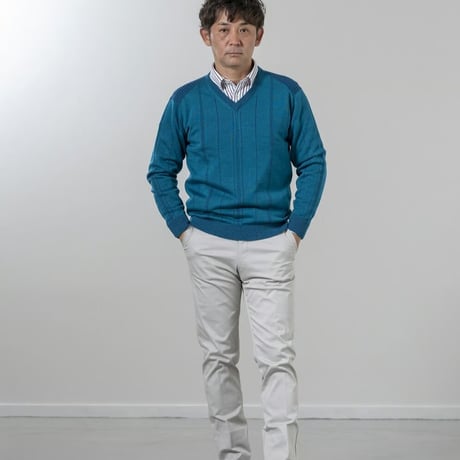 〇【洗濯OK／ウーステッドウール】　12ゲージ　針抜きプレーティング　Vネックセーター　3色