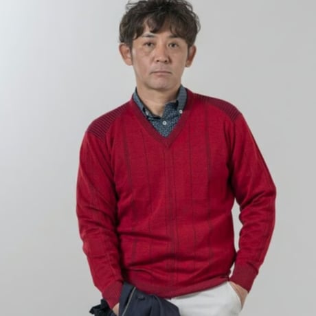 〇【洗濯OK／ウーステッドウール】　12ゲージ　針抜きプレーティング　Vネックセーター　3色