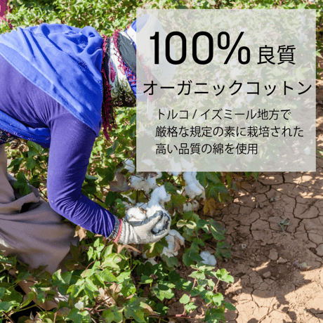 【綿100％ 日本製】紳士Tシャツ オーガニックコットン 全6色 M-2L シンプル コーディネート