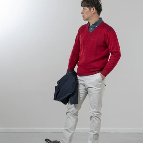 〇【洗濯OK／ウーステッドウール】　12ゲージ　針抜きプレーティング　Vネックセーター　3色