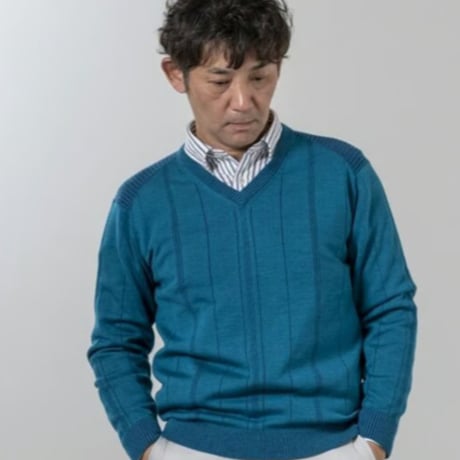 〇【洗濯OK／ウーステッドウール】　12ゲージ　針抜きプレーティング　Vネックセーター　3色