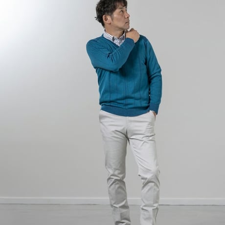 〇【洗濯OK／ウーステッドウール】　12ゲージ　針抜きプレーティング　Vネックセーター　3色