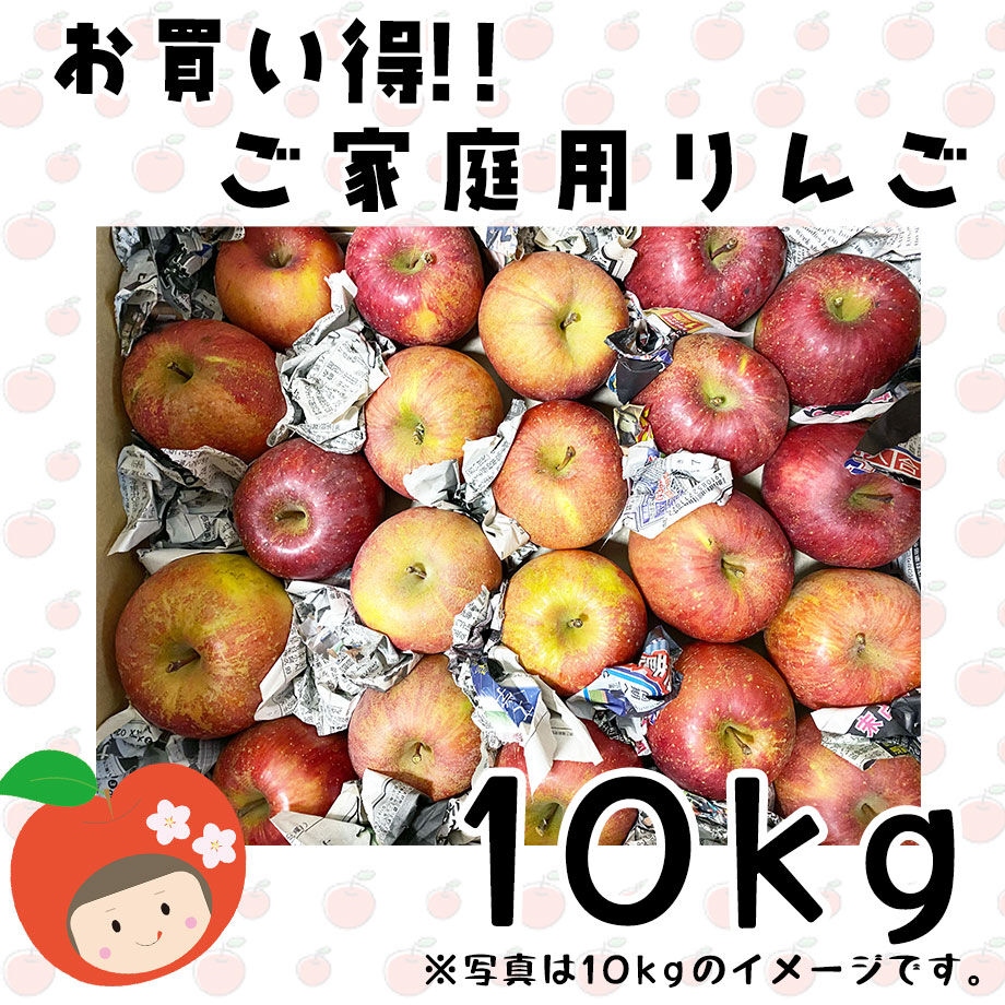 お買い得！！ご家庭用りんご10kg　あぶくま高原岩代りんご菊地果樹園