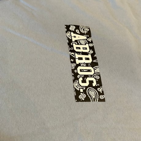 ABROS.ビッグシルエットロングTシャツ(アシッドブルー×ペイズリー)