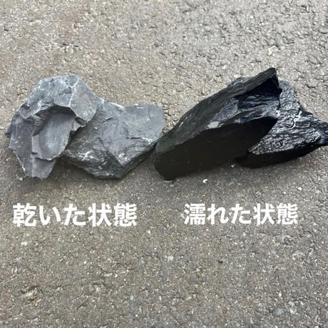 ブラックロッカリー真っ黒な良質な国産