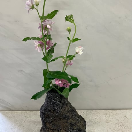 阿蘇熔岩石の花瓶