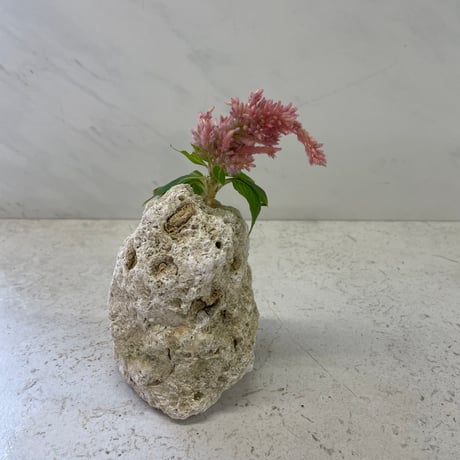 琉球石灰岩の花瓶