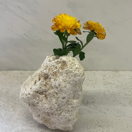 琉球石灰岩の花瓶