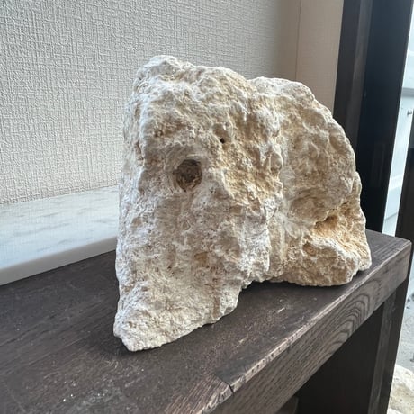 天然石ブックスタンド＊一品もの＊琉球石灰岩