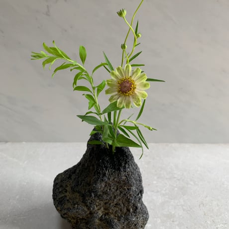 溶岩石の花瓶（大）③