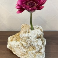 琉球石灰岩一輪挿し