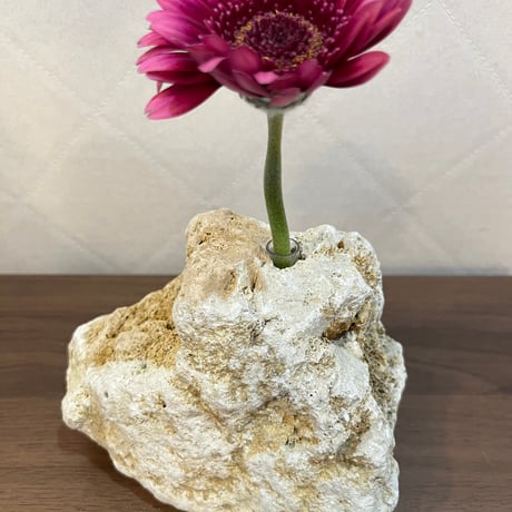 琉球石灰岩一輪挿し