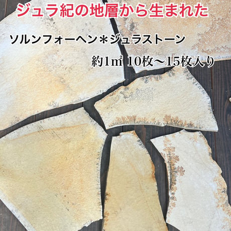 ソルンフォーヘン＊ジュラストーン(約1㎡10枚〜15枚)