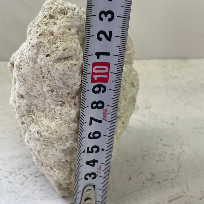 琉球石灰岩の花瓶 | crest.opj