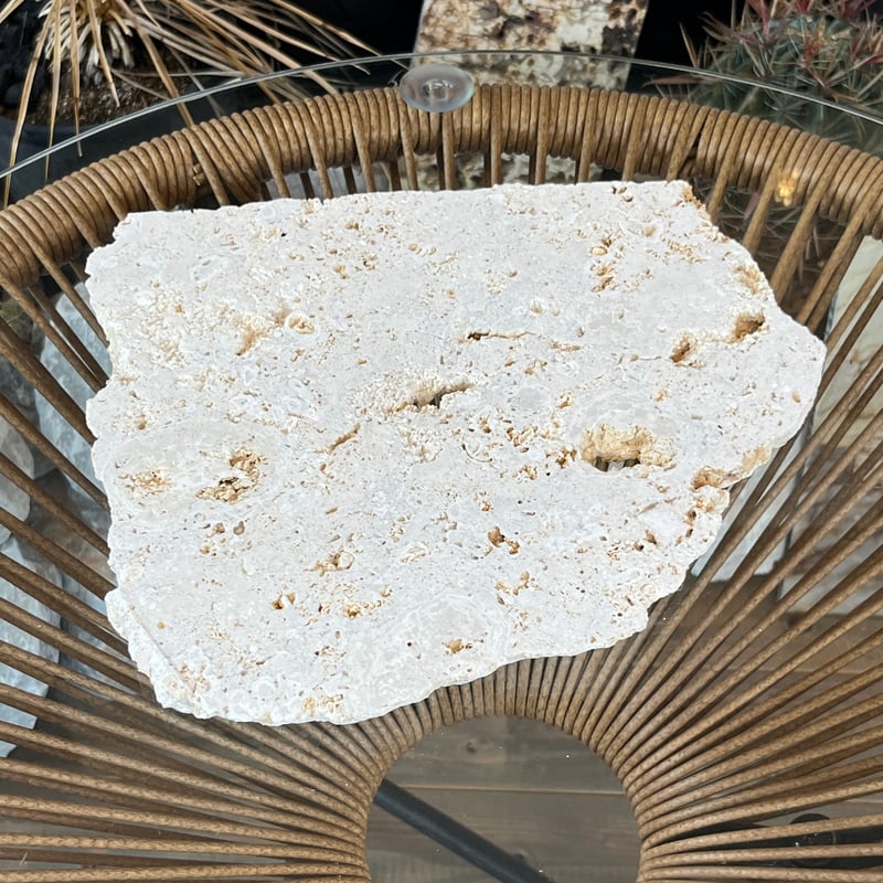 Okinawa琉球石灰岩プレート | crest.opj