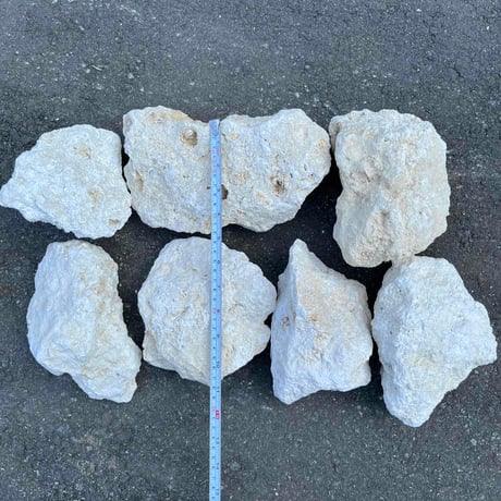 琉球石灰岩φ100〜200㎜　(1袋15kg)