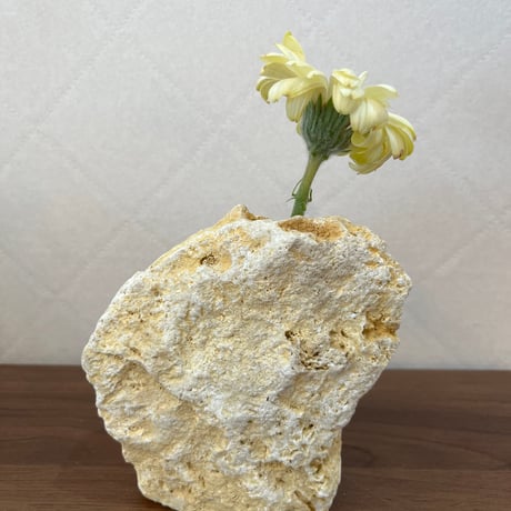 天然琉球石灰岩の花瓶*1輪挿し［１品もの］no112