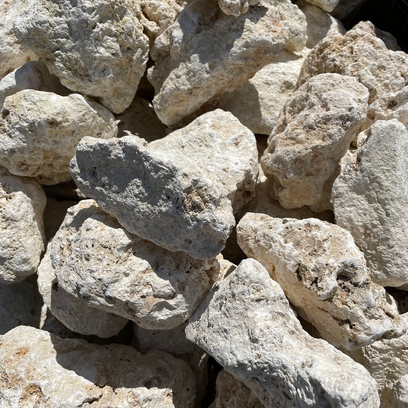 琉球石灰岩 Φ100～250mm 18kg | crest.opj