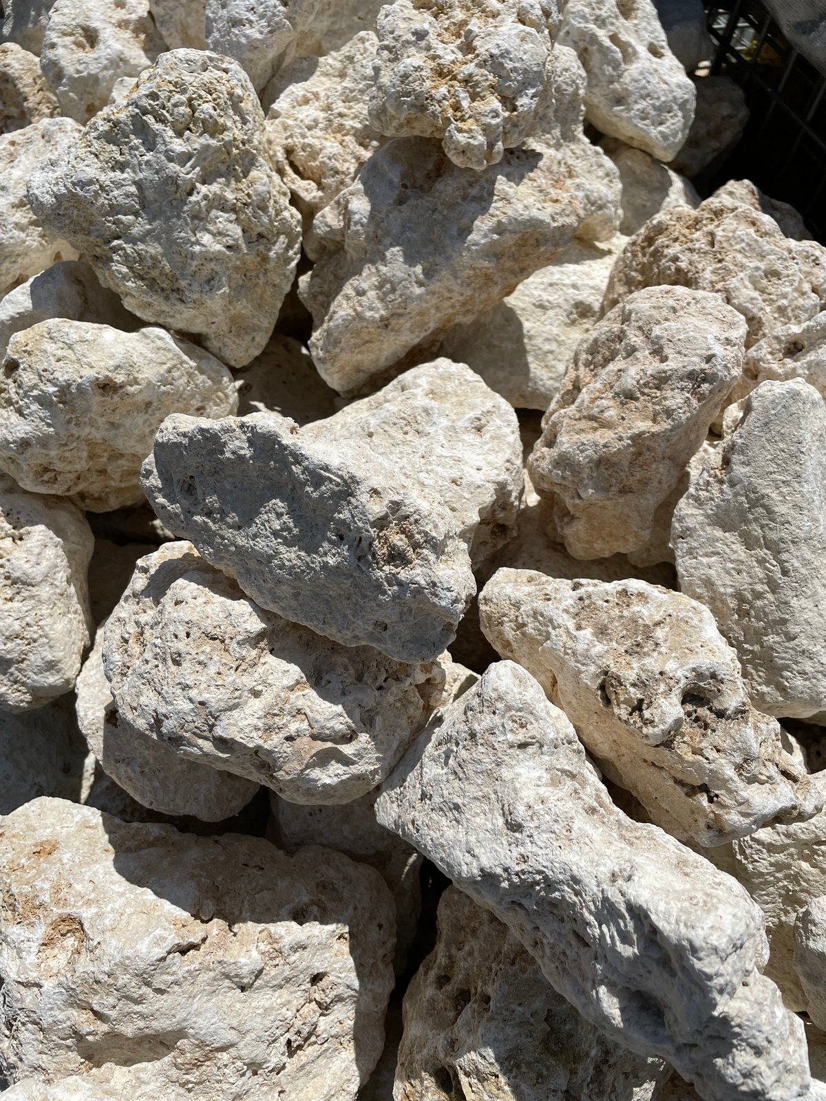 琉球石灰岩 Φ100～250mm 18kg | crest.opj