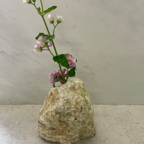 琉球石灰岩の花瓶