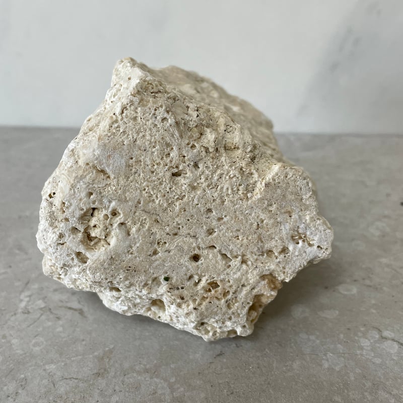 琉球石灰岩の花瓶（小）⑦ | crest.opj