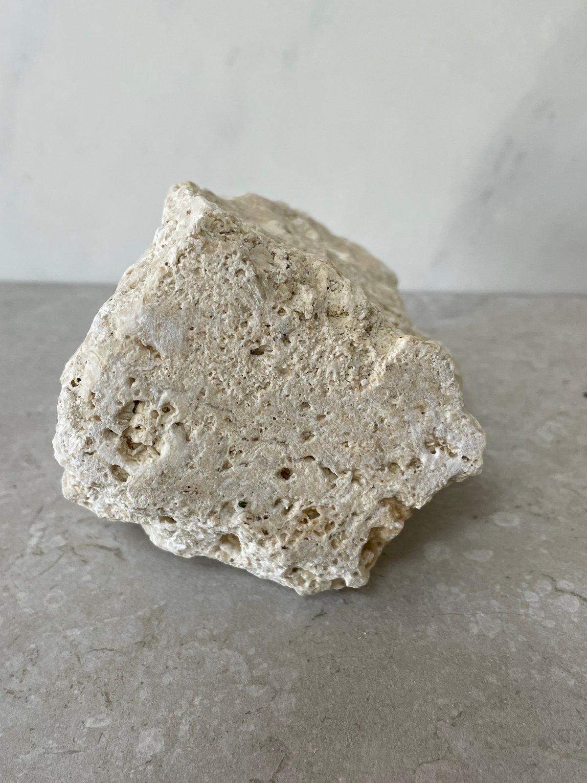 琉球石灰岩の花瓶（小）⑦ | crest.opj