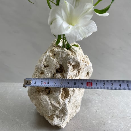 琉球石灰岩の花瓶(中)