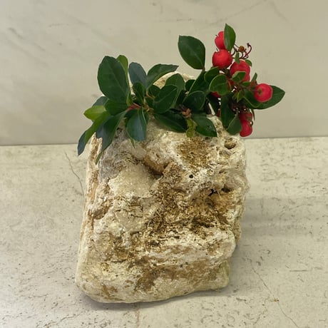 琉球石灰岩の花瓶