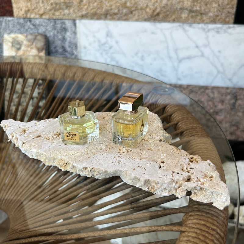 ガジュマル　琉球石灰岩巻き付 ガジュマル 琉球石灰岩巻き付 Okinawa琉球石灰岩プレート | crest.opj