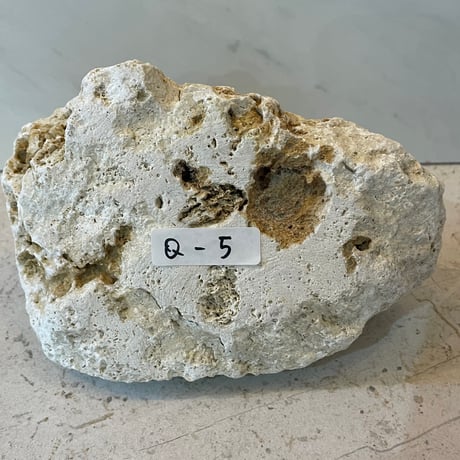 沖縄琉球石灰岩のキャンドルホルダー　Q-5