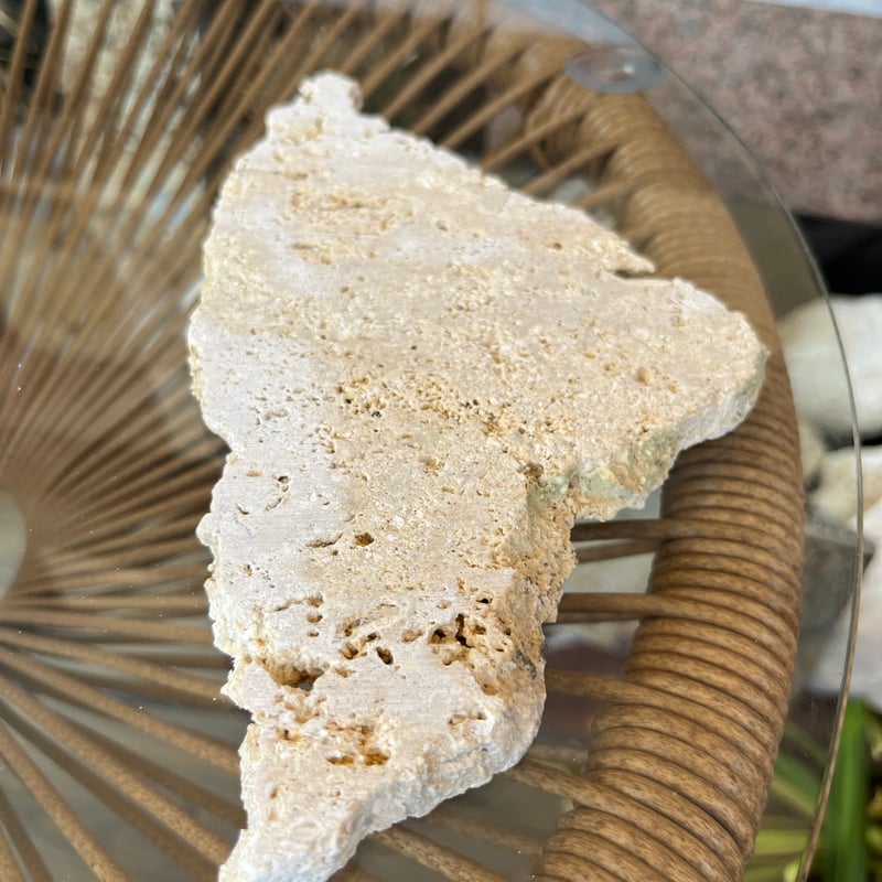 琉球石灰岩プレート | crest.opj