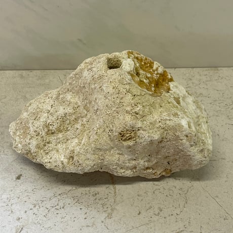 琉球石灰岩の花瓶