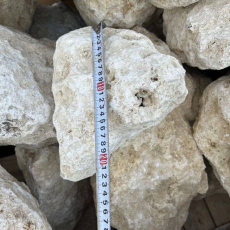 沖縄の琉球石灰岩（大）量り売り［お引き取りのみ］