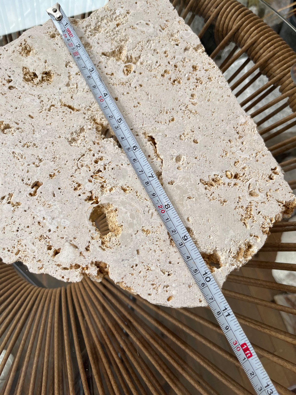 ガジュマル　琉球石灰岩巻き付 ガジュマル 琉球石灰岩巻き付 ガジュマル 琉球石灰岩巻き付 琉球石灰岩