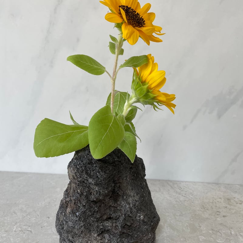 溶岩石の花瓶（中）⑥ | crest.opj