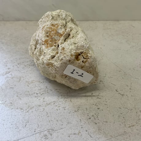 琉球石灰岩の花瓶