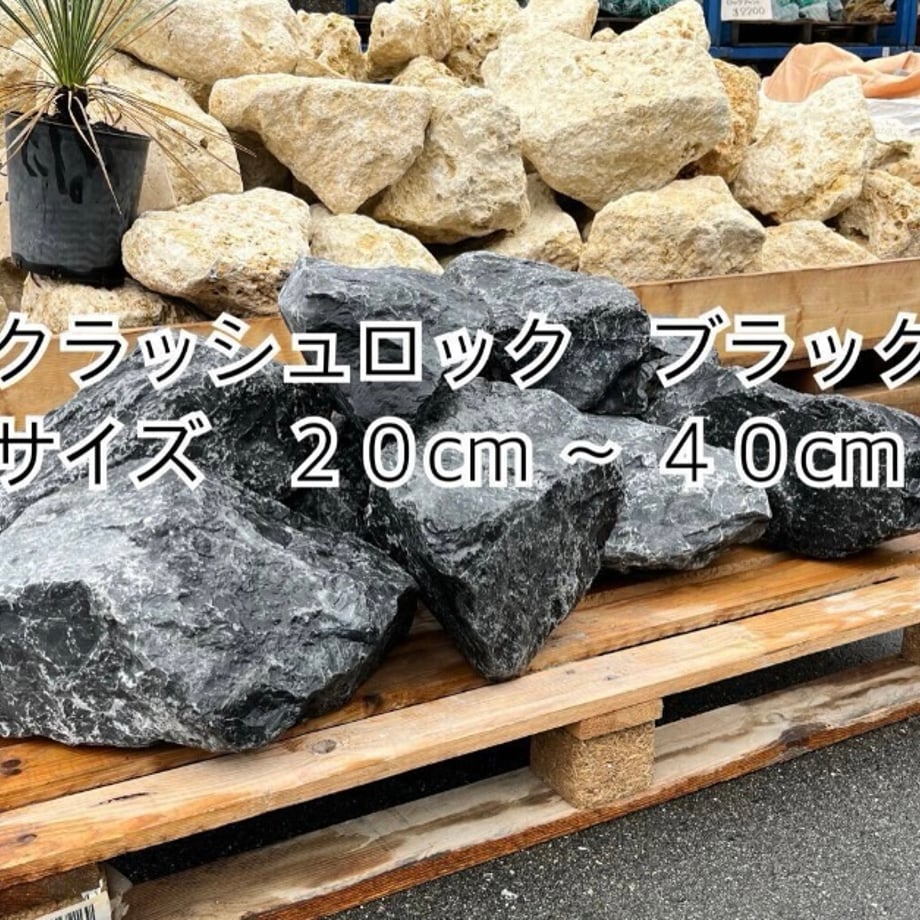 6746cb02d2ff8f0cb58dde76