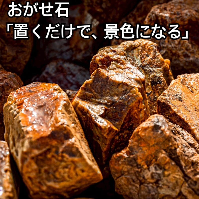 岐阜県産おがせ石－本物の庭には本物の石をー | crest.opj