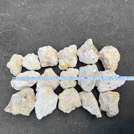 琉球石灰岩 こぶしサイズ (1袋10kg)