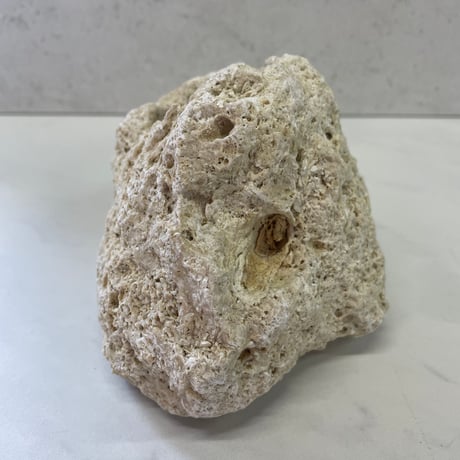 琉球石灰岩のキャンドルホルダー